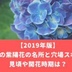 【2019年福岡】紫陽花の名所と穴場スポット3選！見頃や開花時期は？